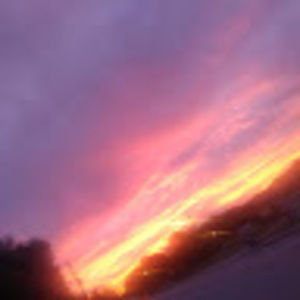 Meet your Posher, Abigail